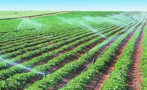 好想进你的小穴穴里视频农田高 效节水灌溉